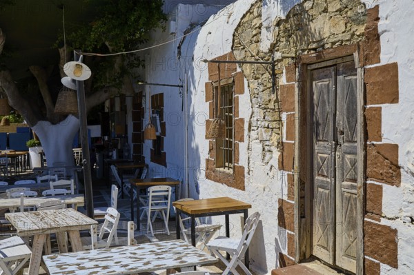 Taverna, A rustic café with wooden furniture and old walls in the shade of a tree, Kattavia village, southern tip of Rhodes, Rhodes, Dodecanese, Greek Islands, Greece
