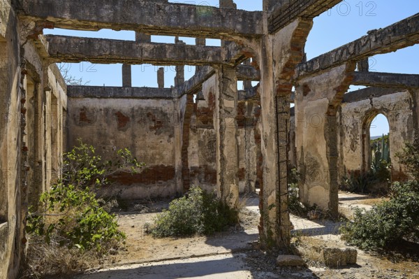 Ruined interior of a building with brick columns and wild vegetation, Old silk factory, German Wehrmacht military prison, concentration camp, Lost Place, Kattavia, Rhodes, Dodecanese, Greek Islands, Greece