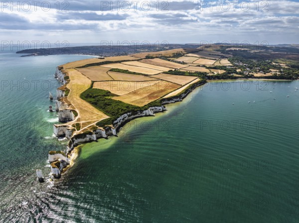 White Cliffs of Old Harry Rocks Jurassic Coast from a drone, Handfast Point, Dorset Coast, Poole, Dorset, England, United Kingdom