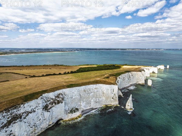 White Cliffs of Old Harry Rocks Jurassic Coast from a drone, Handfast Point, Dorset Coast, Poole, Dorset, England, United Kingdom