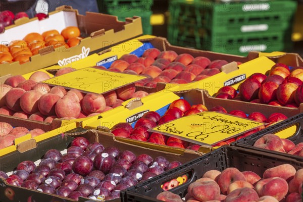 Fresh fruit in crates with price tag on a market stall, Bremen, Germany