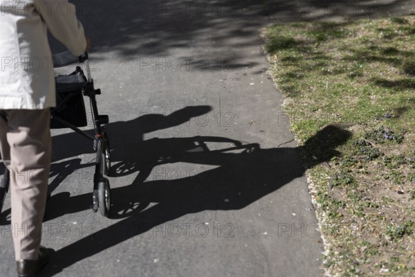 Senior citizen walks in the park in the sunshine and casts a shadow on the ground, Cologne, North Rhine-Westphalia, Germany