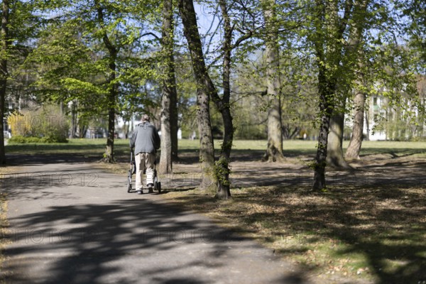Senior walking in the park with his rollator in the sunshine, Cologne, North Rhine-Westphalia, Germany