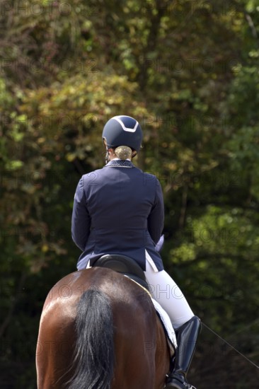 Close-up of horse and rider with equipment from behind during a dressage competition at a horse show, Rhineland-Palatinate, Germany