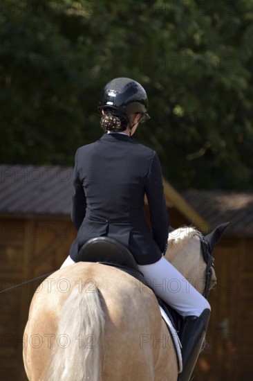 Close-up of horse and rider with equipment from behind during a dressage competition at a horse show, Rhineland-Palatinate, Germany