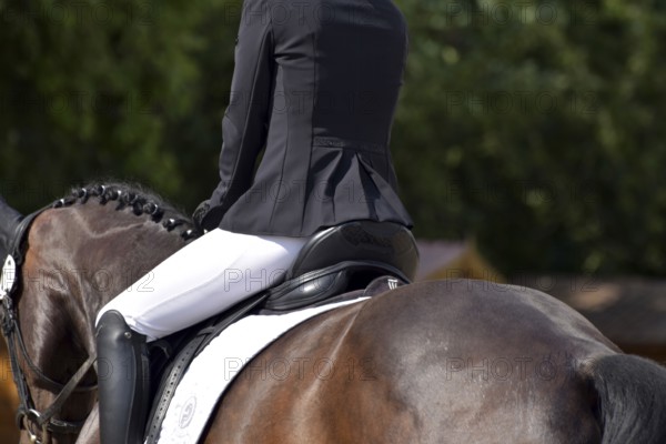 Close-up of horse's back, saddle and rider's seat during a dressage test at a horse show, Rhineland-Palatinate, Germany