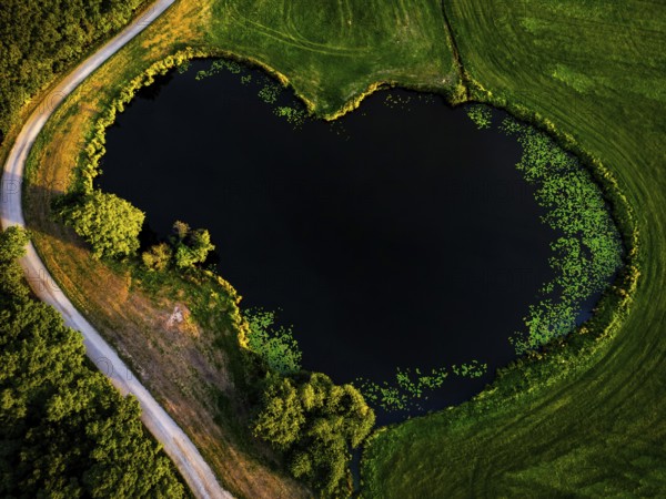 Heart-shaped lake embedded in a green landscape from a bird's eye view, surrounded by trees, natural landscape in Wüsting, 27798 Hude, Lower Saxony, Germany