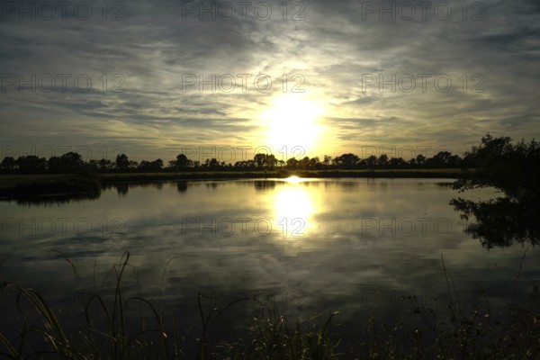 The setting sun bathes the tranquil lake in golden rays of light, grasses in the foreground, natural landscape in Wüsting, 27798 Hude, Lower Saxony, Germany