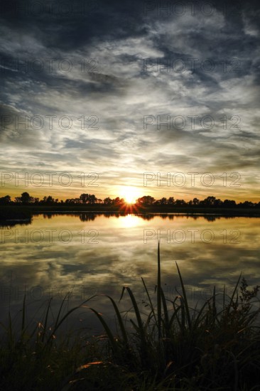 Sunset with clouds and grasses on the lakeshore reflected in the still water, natural landscape in Wüsting, 27798 Hude, Lower Saxony, Germany