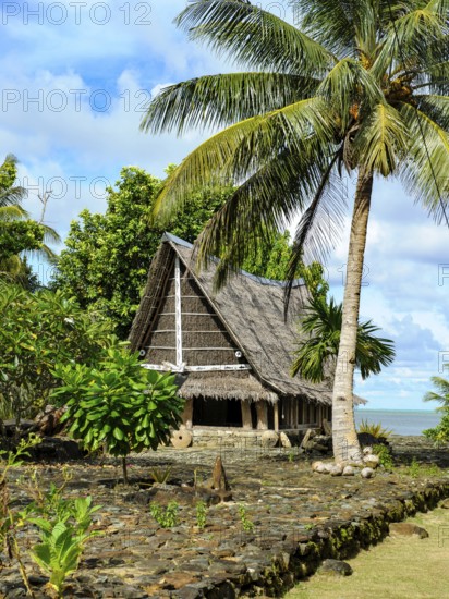 Traditional historical meeting house for men Tribal Chief Men Men's House between palm trees, in the background Pacific Ocean, Yap Island, Yap State, Caroline Islands, FSM, Federated States of Micronesia, Australia, Oceania