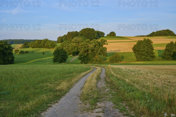 Rural country lane through yellowish fields and green hills, Laudenau, Reichelsheim, Odenwald, Hesse, Germany