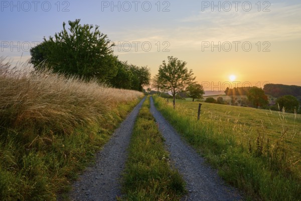 Field path at sunrise along fields and trees leads to the horizon, Laudenau, Reichelsheim, Odenwald, Hesse, Germany