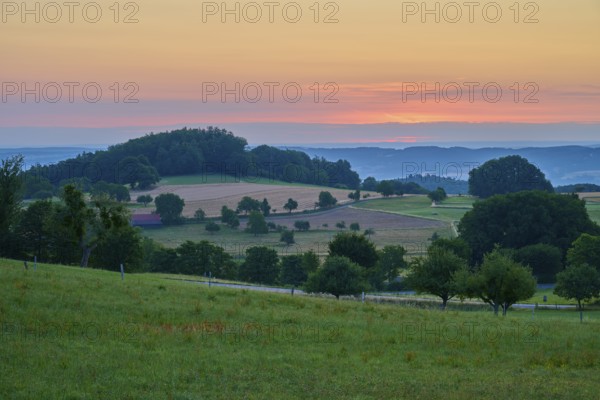 Landscape at sunrise with fields and trees at sunset, Laudenau, Reichelsheim, Odenwald, Hesse, Germany