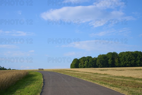 Asphalt road leads past fields to a distant bench under a blue sky with few clouds, Reichartshausen, Amorbach, Odenwald, Bavaria, Germany