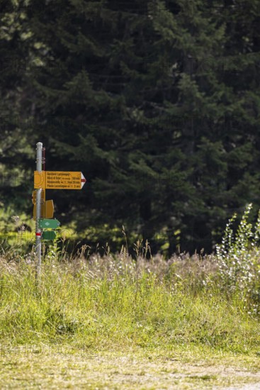 Hiking trail signpost, Sentiero Lucomagno, Campra, Blenio, Ticino, Switzerland