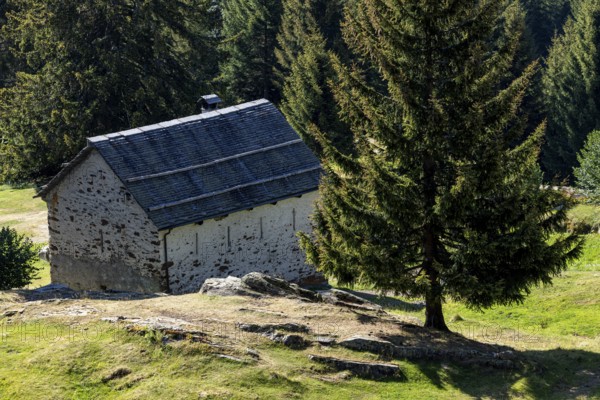Settlement at mountain huts, Ör da Pü, Blenio, Ticino, Switzerland