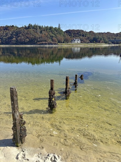 Old wooden posts in the clear water of a loch, a house on the wooded shore in the background, Silver Sands of Morar, Morar, film set, Scotland, Great Britain