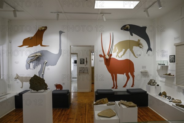 Exhibition rooms of the Jasper House Museum, Oranjemund, diamond restricted area, Karas region, Namibia