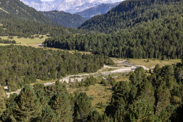 Alluvial plain near Alpe Gana, Sorgente del Brenno, headwaters, Lukmanier Pass, Blenio, Ticino, Switzerland