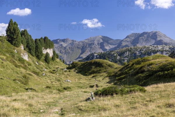 Hiking trail, Alpe di Croce on the Lukmanier Pass, behind Pizzo Campo Tencia, Blenio, Ticino, Switzerland