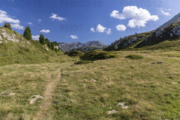 Hiking trail, Alpe di Croce on the Lukmanier Pass, behind Pizzo Campo Tencia, Blenio, Ticino, Switzerland