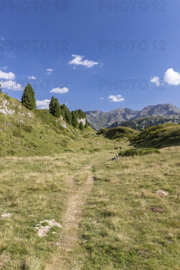 Hiking trail, Alpe di Croce on the Lukmanier Pass, behind Pizzo Campo Tencia, Blenio, Ticino, Switzerland
