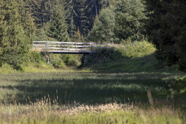 Wetland and wooden bridge, Campra, Blenio, Ticino, Switzerland