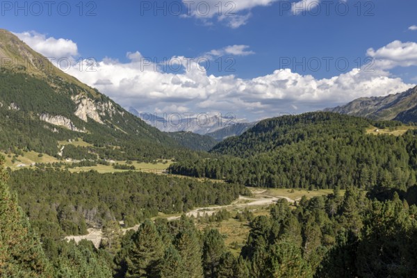 Alluvial plain near Alpe Gana, Sorgente del Brenno, headwaters, Lukmanier Pass, Blenio, Ticino, Switzerland