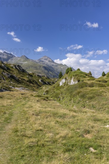 Hiking trail, Alpe di Croce, view to the pass summit with Piz Gannaretsch, Lukmanier Pass, Blenio, Ticino, Switzerland