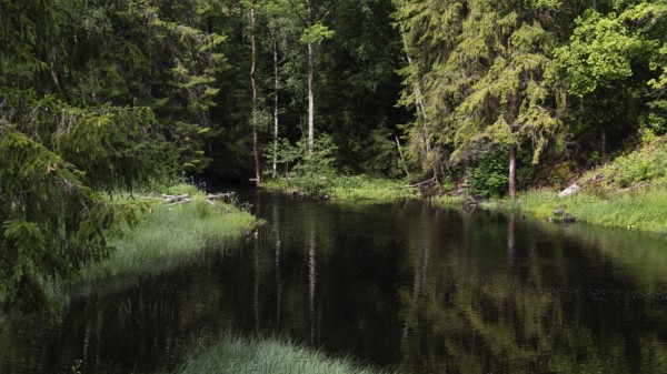 Dark lake in the forest, near Eidsvoll, Norway