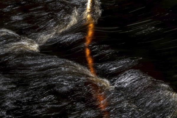 Branch of a birch tree in a fast flowing stream, light reflections on the water surface, Norway
