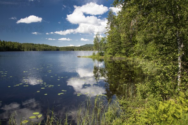 Clouds and blue sky are reflected in a lake in the forest, near Eidsvoll, Norway