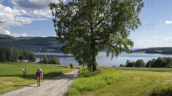 Woman on pilgrimage on a quiet path, in the background Lake Mjøsa or Mjosa, Olavsweg or Olavsleden, near Tangen, Norway