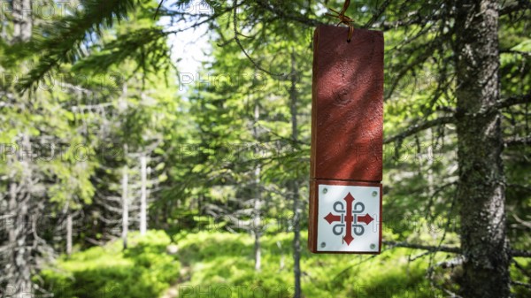 Red sign with Olav's cross hanging on a tree, forest path in bright sunshine, Olavsweg or Olavsleden, Norway