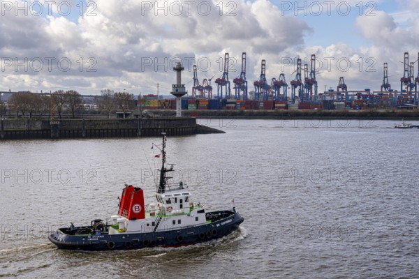 Ships and shipyards on the Elbe in the Hamburg harbour area, Hamburg, Germany