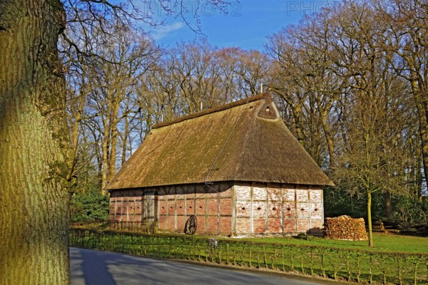 Building with thatched roof, Bad Zwischenahn, Ammerland, Lower Saxony, Germany