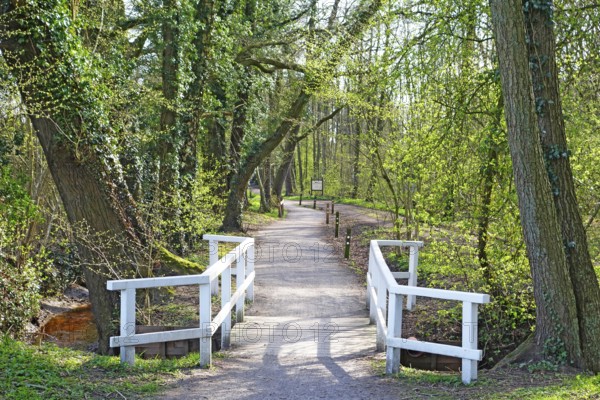 Idyllic promenade, avenue, small wooden footbridge, white railings, spring green, Lower Saxony, Germany