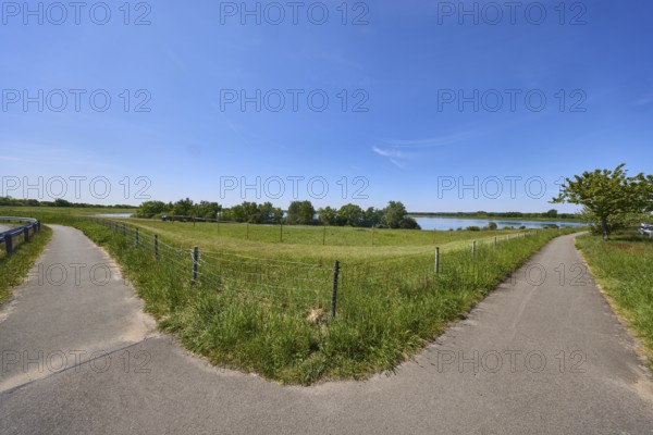 Reservoir Alfsee, flood protection, flood retention basin, nature reserve, fence, footpath and cycle path, trees, grass, blue sky, cloudless, Alfhausen, district of Osnabrück, Lower Saxony, Germany