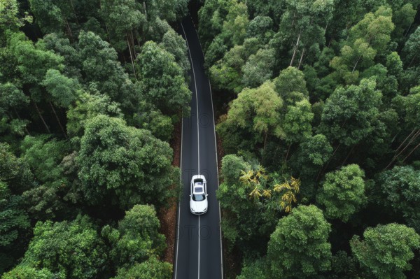 Aerial drone birds view of a lonely car on a highway going through the forest. Concept of sustainable green technologies and nature and earth preservation, AI generated