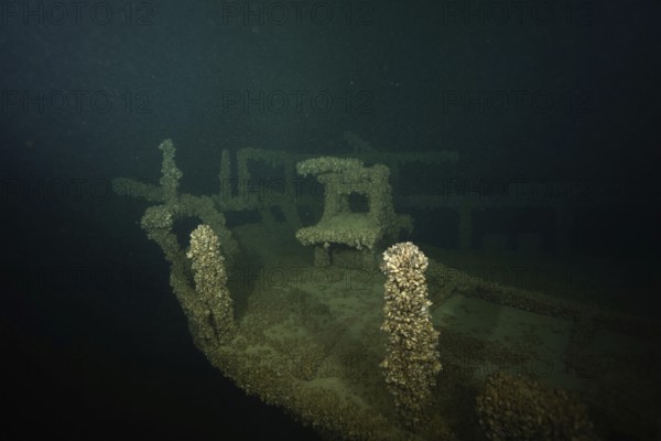 A shipwreck covered with Quagga triangle mussels (Dreissena rostriformis bugensis), invasive species, in a dark underwater environment. Dive site Wreck of the Jura, Lake Constance, Bottighofen, Switzerland, Münsterlingen, Germany