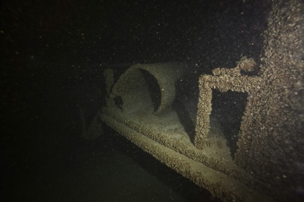 Dark shipwreck under water, heavily overgrown with quagga triangle mussels (Dreissena rostriformis bugensis), invasive species. Dive site wreck of the Jura, Lake Constance, Bottighofen, Switzerland, Münsterlingen, Germany