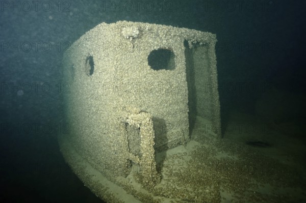 Shipwreck covered with quagga triangle mussels (Dreissena rostriformis bugensis), invasive species, in a dark underwater environment. Dive site wreck of the Jura, Lake Constance, Bottighofen, Switzerland, Münsterlingen, Germany
