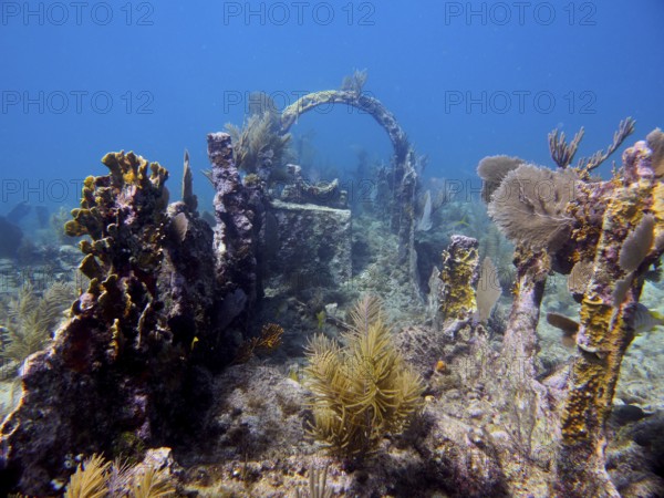 Old shipwreck under water overgrown with coral. Dive site John Pennekamp Coral Reef State Park, Key Largo, Florida Keys, Florida, USA