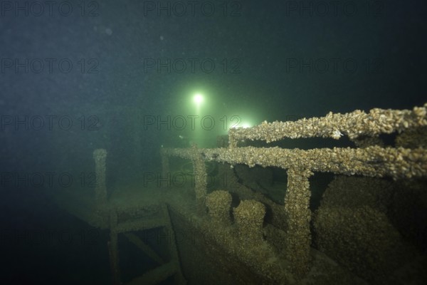 A shipwreck covered with quagga triangle mussels (Dreissena rostriformis bugensis), an invasive species, is illuminated by rays of light in the darkness. Dive site wreck of the Jura, Lake Constance, Bottighofen, Switzerland, Münsterlingen, Germany
