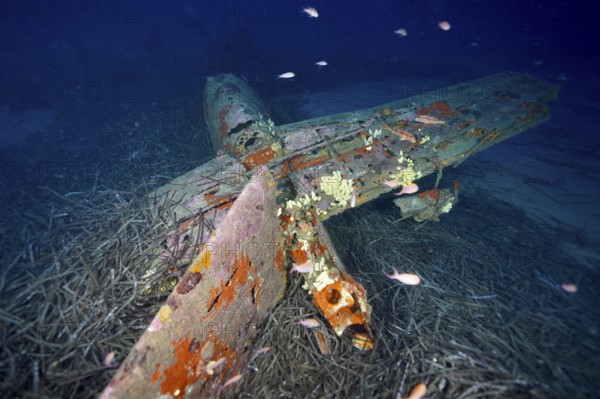 Old aircraft wreck on the seabed, covered with rust and marine growth. Dive site aircraft wreck Mustang P51, Giens peninsula, Provence Alpes Côte d'Azur, France
