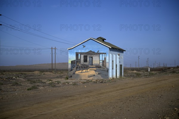 Painted house facade, graffito, brown hyena, diamonds, Oranjemund, Karas region, Namibia