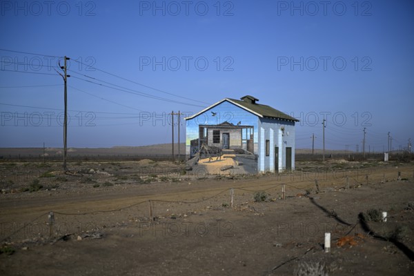 Painted house facade, graffito, brown hyena, diamonds, Oranjemund, Karas region, Namibia