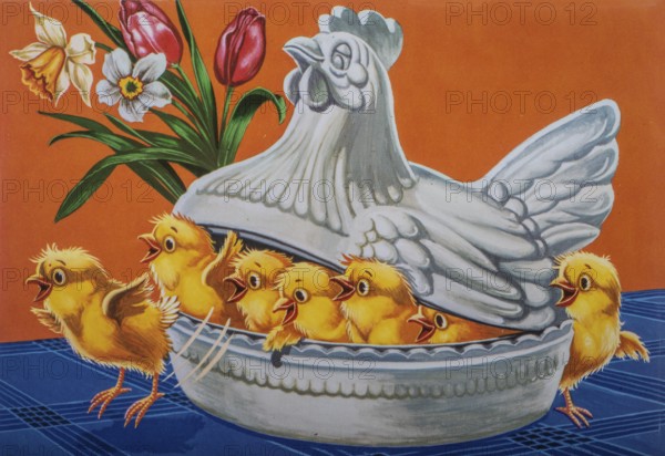 Old postcard and Easter card. Yellow chicks in a bowl in the shape of a brooding hen
