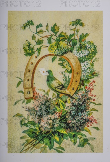 Old postcard and greeting card. Dove in horseshoe oxh flowers