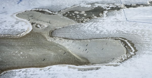 Aerial view, frozen Rhine meadow Ehingen, Mündelheim, Duisburg, Ruhr area, North Rhine-Westphalia, Germany, DE, ice surface, ice landscape, Europe, shapes and colours, aerial view, aerial photography, aerial photography, snow, overview, bird's eye view, winter, birds-eyes view, frozen Rhine meadows, cleared roads, overview